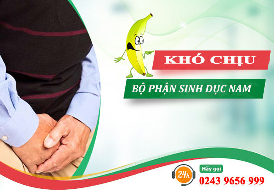 Các bệnh lý cơ quan sinh dục nam