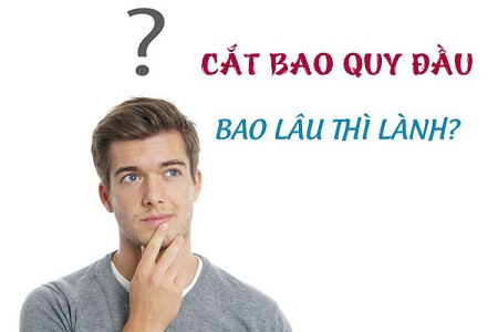Cắt bao quy đầu mấy ngày thì lành