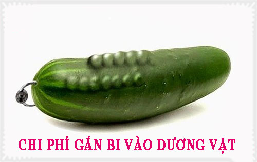 Chi phí gắn bi vào dương vật