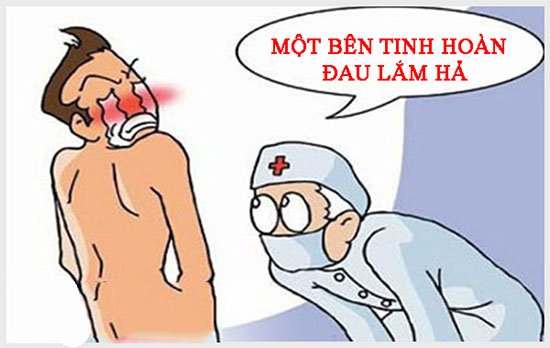 Đau một bên tinh hoàn