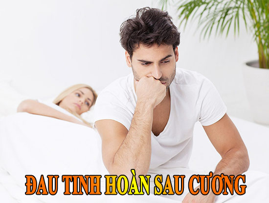 Đau tinh hoàn sau khi cương