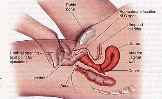 Khám phá điểm G