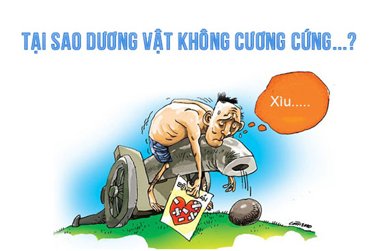 Tại sao dương vật không cương
