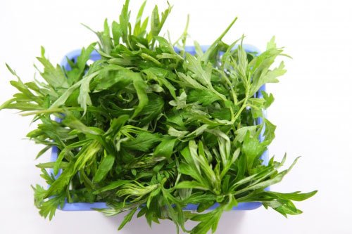Ngải cứu