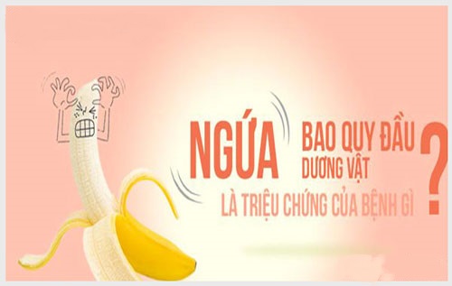 Ngứa bao quy đầu là bệnh gì