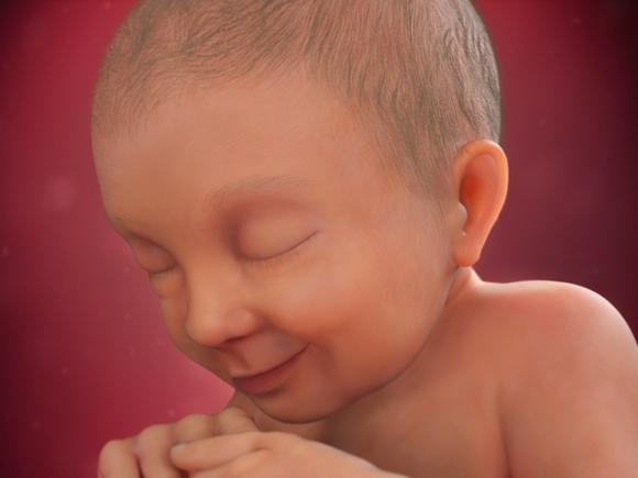 Hình ảnh thai nhi tuần 37