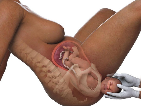 Hình ảnh thai nhi tuần 41