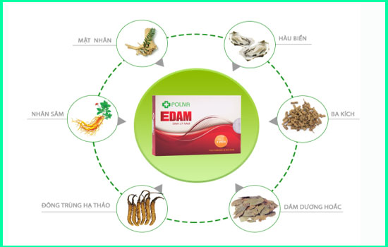 Thuốc cường dương Poliva Adam