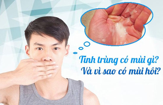 Tinh trùng có mùi hôi