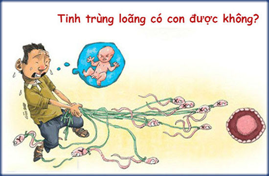 Tinh trùng loãng có con được không